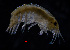  ( - ZHAK-03976)  @11 [ ] CreativeCommons Attribution Non-Commercial No Derivatives (2023) Hakai Institute Hakai Institute