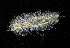  ( - ZHAK-04162)  @11 [ ] CreativeCommons Attribution Non-Commercial No Derivatives (2023) Hakai Institute Hakai Institute