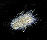  ( - ZHAK-04171)  @11 [ ] CreativeCommons Attribution Non-Commercial No Derivatives (2023) Hakai Institute Hakai Institute