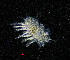  ( - ZHAK-04234)  @11 [ ] CreativeCommons Attribution Non-Commercial No Derivatives (2023) Hakai Institute Hakai Institute