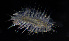  ( - ZHAK-04347)  @11 [ ] CreativeCommons Attribution Non-Commercial No Derivatives (2023) Hakai Institute Hakai Institute