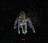  ( - ZHAK-04362)  @11 [ ] CreativeCommons Attribution Non-Commercial No Derivatives (2023) Matt Lemay Hakai Institute