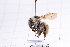  ( - 20QHBb-047)  @11 [ ] CreativeCommons  Attribution Non-Commercial Share-Alike (2030) Unspecified China Agricultural University
