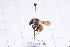  ( - 20QHBb-048)  @11 [ ] CreativeCommons  Attribution Non-Commercial Share-Alike (2030) Unspecified China Agricultural University