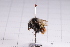  ( - 20QHBb-075)  @11 [ ] CreativeCommons  Attribution Non-Commercial Share-Alike (2030) Unspecified China Agricultural University