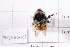  ( - 20QHBb-102)  @11 [ ] CreativeCommons  Attribution Non-Commercial Share-Alike (2030) Unspecified China Agricultural University