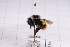  ( - 20QHBb-102)  @11 [ ] CreativeCommons  Attribution Non-Commercial Share-Alike (2030) Unspecified China Agricultural University