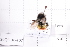  ( - 20QHBb-107)  @11 [ ] CreativeCommons  Attribution Non-Commercial Share-Alike (2030) Unspecified China Agricultural University