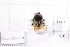  ( - 20QHBb-110)  @11 [ ] CreativeCommons  Attribution Non-Commercial Share-Alike (2030) Unspecified China Agricultural University