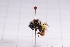  ( - 20QHBb-110)  @11 [ ] CreativeCommons  Attribution Non-Commercial Share-Alike (2030) Unspecified China Agricultural University