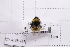  ( - 20QHBb-147)  @11 [ ] CreativeCommons  Attribution Non-Commercial Share-Alike (2030) Unspecified China Agricultural University