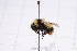  ( - 20QHBb-157)  @11 [ ] CreativeCommons  Attribution Non-Commercial Share-Alike (2030) Unspecified China Agricultural University