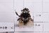  ( - 20QHBb-163)  @11 [ ] CreativeCommons  Attribution Non-Commercial Share-Alike (2030) Unspecified China Agricultural University