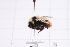  ( - 20QHBb-166)  @11 [ ] CreativeCommons  Attribution Non-Commercial Share-Alike (2030) Unspecified China Agricultural University
