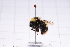  ( - 20QHBb-170)  @11 [ ] CreativeCommons  Attribution Non-Commercial Share-Alike (2030) Unspecified China Agricultural University