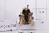  ( - 20QHBb-208)  @11 [ ] CreativeCommons  Attribution Non-Commercial Share-Alike (2030) Unspecified China Agricultural University