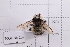  ( - 20QHBb-209)  @11 [ ] CreativeCommons  Attribution Non-Commercial Share-Alike (2030) Unspecified China Agricultural University