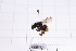  ( - 20QHBb-293)  @11 [ ] CreativeCommons  Attribution Non-Commercial Share-Alike (2030) Unspecified China Agricultural University