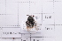  ( - 20QHBb-294)  @11 [ ] CreativeCommons  Attribution Non-Commercial Share-Alike (2030) Unspecified China Agricultural University