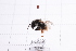  ( - 20QHBb-294)  @11 [ ] CreativeCommons  Attribution Non-Commercial Share-Alike (2030) Unspecified China Agricultural University