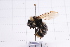  ( - 20QHBb-295)  @11 [ ] CreativeCommons  Attribution Non-Commercial Share-Alike (2030) Unspecified China Agricultural University