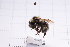  ( - 20QHBb-297)  @11 [ ] CreativeCommons  Attribution Non-Commercial Share-Alike (2030) Unspecified China Agricultural University