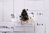 ( - 20QHBb-306)  @11 [ ] CreativeCommons  Attribution Non-Commercial Share-Alike (2030) Unspecified China Agricultural University