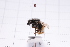  ( - 20QHBb-306)  @11 [ ] CreativeCommons  Attribution Non-Commercial Share-Alike (2030) Unspecified China Agricultural University
