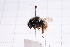  ( - 20QHBb-309)  @11 [ ] CreativeCommons  Attribution Non-Commercial Share-Alike (2030) Unspecified China Agricultural University