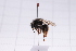  ( - 20QHBb-311)  @11 [ ] CreativeCommons  Attribution Non-Commercial Share-Alike (2030) Unspecified China Agricultural University