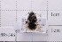  ( - 20QHBb-346)  @11 [ ] CreativeCommons  Attribution Non-Commercial Share-Alike (2030) Unspecified China Agricultural University