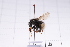  ( - 20QHBb-347)  @11 [ ] CreativeCommons  Attribution Non-Commercial Share-Alike (2030) Unspecified China Agricultural University