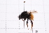  ( - 20QHBb-348)  @11 [ ] CreativeCommons  Attribution Non-Commercial Share-Alike (2030) Unspecified China Agricultural University