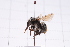  ( - 20QHBb-349)  @11 [ ] CreativeCommons  Attribution Non-Commercial Share-Alike (2030) Unspecified China Agricultural University