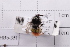  ( - 20QHBb-351)  @11 [ ] CreativeCommons  Attribution Non-Commercial Share-Alike (2030) Unspecified China Agricultural University