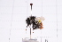  ( - 20QHBb-351)  @11 [ ] CreativeCommons  Attribution Non-Commercial Share-Alike (2030) Unspecified China Agricultural University