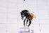  ( - 20QHBb-371)  @11 [ ] CreativeCommons  Attribution Non-Commercial Share-Alike (2030) Unspecified China Agricultural University