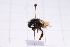  ( - 20QHBb-376)  @11 [ ] CreativeCommons  Attribution Non-Commercial Share-Alike (2030) Unspecified China Agricultural University