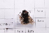  ( - 20QHBb-377)  @11 [ ] CreativeCommons  Attribution Non-Commercial Share-Alike (2030) Unspecified China Agricultural University