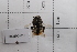  ( - 20QHO-055)  @11 [ ] CreativeCommons  Attribution Non-Commercial Share-Alike (2030) Unspecified China Agricultural University