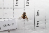  ( - 20QHO-081)  @11 [ ] CreativeCommons  Attribution Non-Commercial Share-Alike (2030) Unspecified China Agricultural University