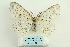  ( - ARB00026459)  @13 [ ] Copyright  SCDBC-KIZ-CAS, Imaging group Kunming Institute of Zoology, CAS