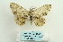  ( - ARB00026539)  @12 [ ] Copyright  SCDBC-KIZ-CAS, Imaging group Kunming Institute of Zoology, CAS
