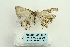  ( - ARB00026542)  @12 [ ] Copyright  SCDBC-KIZ-CAS, Imaging group Kunming Institute of Zoology, CAS