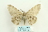  ( - ARB00026623)  @12 [ ] Copyright  SCDBC-KIZ-CAS, Imaging group Kunming Institute of Zoology, CAS