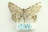  ( - ARB00026624)  @12 [ ] Copyright  SCDBC-KIZ-CAS, Imaging group Kunming Institute of Zoology, CAS