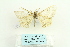  ( - ARB00026789)  @12 [ ] Copyright  SCDBC-KIZ-CAS, Imaging group Kunming Institute of Zoology, CAS