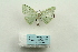  ( - ARB00027699)  @12 [ ] Copyright  SCDBC-KIZ-CAS, Imaging group Kunming Institute of Zoology, CAS