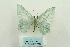  ( - ARB00027715)  @14 [ ] Copyright  SCDBC-KIZ-CAS, Imaging group Kunming Institute of Zoology, CAS