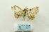  ( - ARB00027869)  @11 [ ] Copyright  SCDBC-KIZ-CAS, Imaging group Kunming Institute of Zoology, CAS